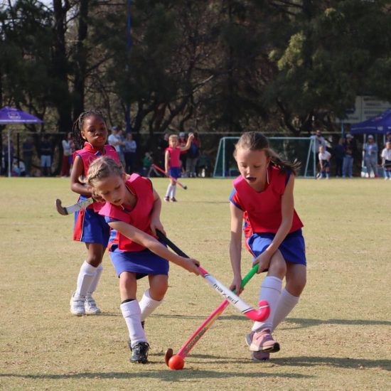 375041997_321100527114965_5498164105811296390_n