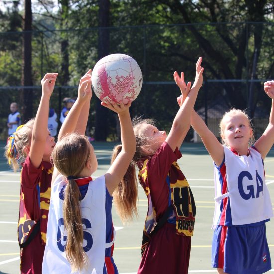 438691453_448396987718651_1591015447782403346_n